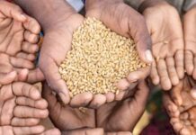 भोकमरीको सूचकाङ्कमा नेपालले ११ स्थान सुधार गरी ६९ औँ स्थानमा