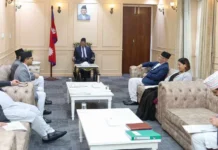 संवैधानिक परिषदमा सरकारको बहुमत नहुँदा नियुक्ति प्रभावित