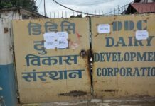 भुक्तानीका लागि डिडिसीले माग्यो ऋण