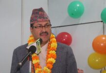 विपिन जोशीको रिहाइका लागि प्रयास जारी