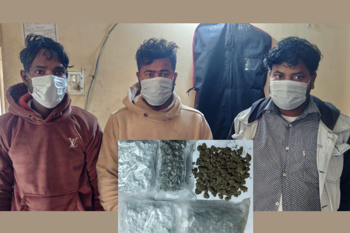 ganja-us-1704204456 (1)