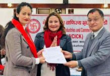 शैक्षिक परामर्श व्यवसायी उमा खड्का मनोनीत