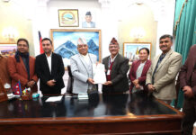 पाल्पाको भगवती जात्रालाई राष्ट्रिय उत्सवको रूपमा मनाउन माग
