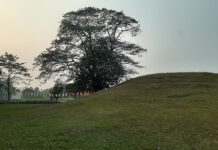 रामग्राम स्तूपा ९९ वर्षका लागि लिजमा दिने निर्णय बदर गर्न माग