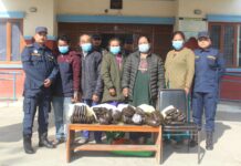 २४ केजी ५६० ग्राम लागू औषध चरेससहित ५ जना नियन्त्रणमा