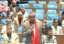नेपाल वायु सेवा निगम झन् समस्यामा परेको आरोप