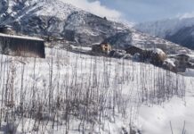 हुम्लाका कृषकलाई भुक्तानी गर्नु पर्ने अवस्था अब अन्त्य