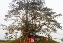 रामग्रामको जग्गा भाडामा दिएर संरचना बनाउने सम्झौता रद्द