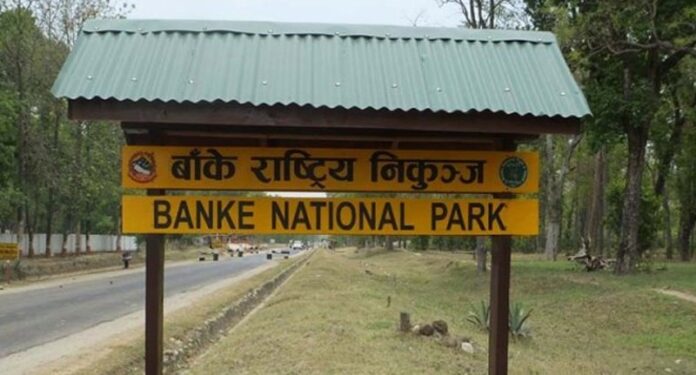 Banke_nikunja