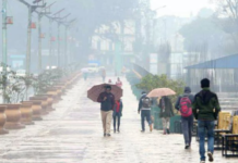 वर्षाले डढेलो नियन्त्रणमा सहज