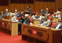 सरकारलाई अधिकार प्रत्यायोजन नगरेको भन्दै आलोचना