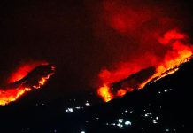 दर्जनौँ सामुदायिक वनमा आगलागी