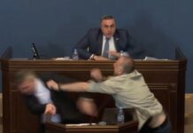 जर्जियामा सांसदहरूबीच मुक्का हानाहान