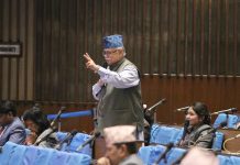 गणतन्त्र स्मारक सर्वसाधारणका लागि खुला गर्न माग