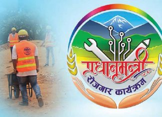 करिब अठचालिस हजारले उनासी दिनको पाए रोजगारी