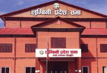लुम्बिनी प्रदेश सभामा स्थानीय सेवा गठन