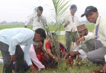 विश्व शान्तिका लागि वृक्षारोपण कार्यक्रम