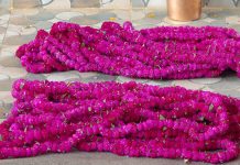 तिहारमा ३८ करोड रुपैयाँ फुलको माला खपत हुने अनुमान