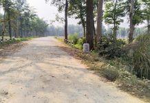घोडाघोडी नगरपालिका सुखडदेखि कीर्तिपुर जङ्गलसम्म सडक कालोपत्रे निर्माण पूरा