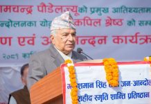 आर्थिक विकास गर्न सरकार चुक्न नहुने