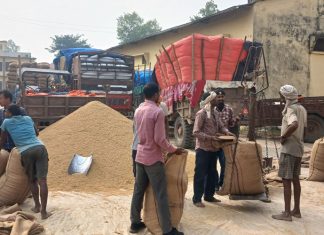 बाँकेका किसानहरुसँग ३२ हजार क्विन्टलभन्दा बढी धान खरिद