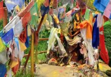 लटरम्मेश्वर महादेव मन्दिर जानेक्रममा फसेका चार जनाको सेना उद्धार