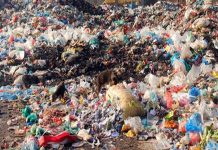 महानगरको अनुमतिबिना सडकबाट फोहोर नछान्न आग्रह