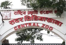 नयाँ वर्षदेखि चिडियाखाना बेलुकी ८ बजेसम्म सञ्चालन हुने