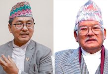 राप्रपाको आमसभामा राजसंस्था पुनर्स्थापना गठित