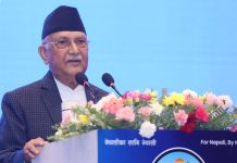 एनआरएनएलाई दलीय हितमा प्रयोग नगर्ने