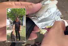 लागुऔषध ओसारपसारमा कुकुर प्रयोग गर्ने
