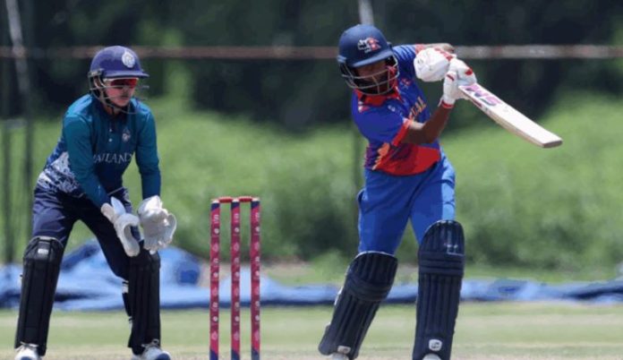cricket