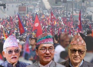 राजसंस्था आन्दोलन कार्यक्रम जिल्लाकेन्द्रित