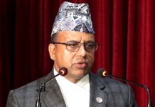 नेपाल वायुसेवा निगमको क्षमता विस्तार गर्न जरुरी