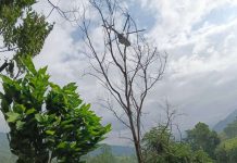 त्रिशूली नदीमा फसेका दुई जनाको हेलिकप्टरबाट उद्धार
