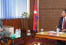 ऊर्जामन्त्री घिसिङ र नेपालका चीनका राजदूतबीच शिष्टाचार भेटवार्ता