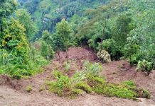 बाढीपहिरोमा परी मृत्यु हुनेको संख्या ३९ पुग्याे