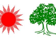 दलहरूले चुनावै नगरी सर्वसम्मत रुपमा सांसद चयन गर्ने