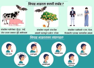 भारतमा घातक ‘निपाह भाइरस’को संक्रमण पुष्टि भएसँगै देशका सीमा नाकाहरूमा हाइ अलर्ट