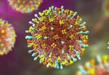 निपाह भाइरसको प्रकोपलाई लिएर परिक्षण गर्न निर्देशन