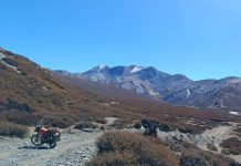 मुलुकका उच्च हिमाली क्षेत्रमा रहेका चरनभूमिको संरक्षण गरिने
