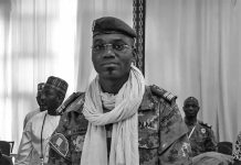 मालीका रक्षामन्त्रीको आत्मघाती ट्रक विष्फोटमा निधन