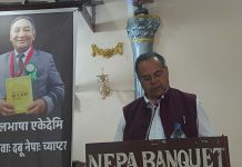 बहुआयामिक व्यक्तित्वका धनी विष्णु चित्रकारप्रति श्रद्वाञ्जली अर्पण