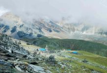 यार्सागुम्बा संकलन जेठ १३ गतेदेखि पाइने
