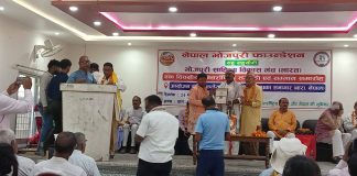 साहित्यकार सिन्हा र पाण्डे सम्मानित