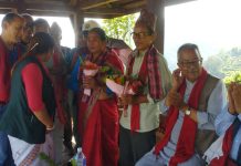 अमरसिंह थापाको जन्म गोरखाको सिरानचोकमा भएको इतिहासविद्हरूको दाबी