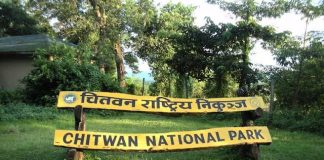 जङ्गल सफारी सेवा आजदेखि बन्द