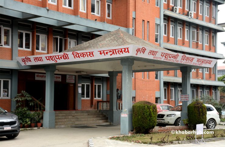 पशुसेवा विभागलाई ५० करोड रुपैयाँ निकासा