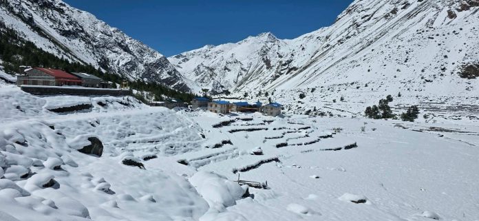 Humla-snoo-1791253759