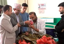 इन्टर्न चिकित्सकको निर्वाह भत्ता बढाउने माग सहमति